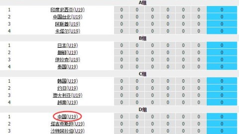 一、正式大赛，亚洲杯预选赛与东亚四强赛