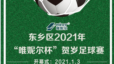 一、洲际国家队杯赛，传奇圆梦与新王登基
