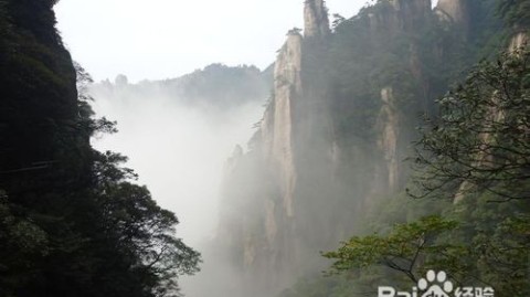这是一篇为您定制的体育散文，以足球巨星 罗伯特·巴乔 为主角，将三清山的奇峰云海与他充满遗憾与救赎的职业生涯相勾连