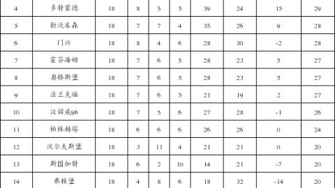 2024/25赛季德甲联赛最终积分榜（前六名）