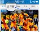 2026世界杯直播全渠道指南
