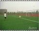 29字），九球直播足球在线观看，免费高清赛事平台全面体验