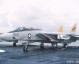 F-14雄猫航展特技，可变后掠翼的暴力美学