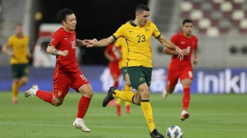 ⚽ 世界杯季的终极预演，CCTV5焦点之战深度剖析