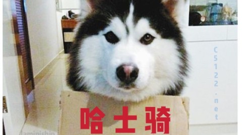 2019年欧国联决赛综述，葡萄牙加冕称王，C罗率队书写荣耀新篇章