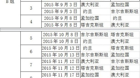 2024世预赛赛程积分榜最新，诸强逐鹿，生死时速