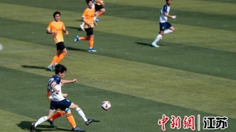 2024足球大赛事，荣耀、冷门与传奇交织的足坛盛宴