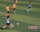 2024足球大赛事，荣耀、冷门与传奇交织的足坛盛宴