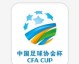 2022中国足协杯直播回顾，浙江队历史性闯进决赛的战术密码
