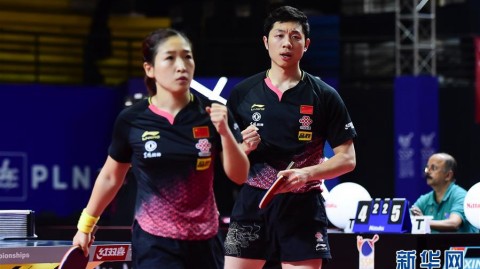 2019年乒乓球亚锦赛，巅峰对决与赛场禁忌