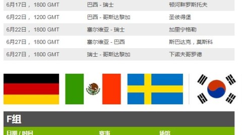 本文将深入剖析本届世界杯失利球队的四大核心致命伤，阵型漏洞、防守崩盘、士气低迷以及新帅体系的水土不服