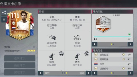 FIFA足球世界国旗卡，绿茵场上的国家荣耀