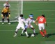 关于2024年男足世界杯——首先需要澄清一个常见误区，2024年并没有举办男足世界杯