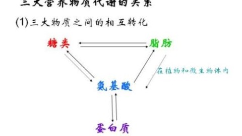 一物降一物，体育战术克制关系深度解析