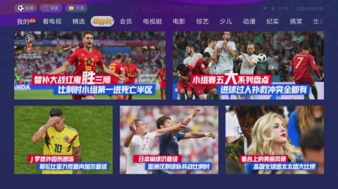 这是一份2026年世界杯在线高清直播的观赛指南，其中第一部分介绍了中国大陆地区、香港地区、马来西亚和其他网络平台的观看方式，第二部分分析了焦点赛事，第三部分解析了央视的官方节目亮点