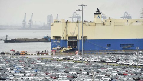 dock码头跳水比赛前瞻，明日巅峰对决一触即发