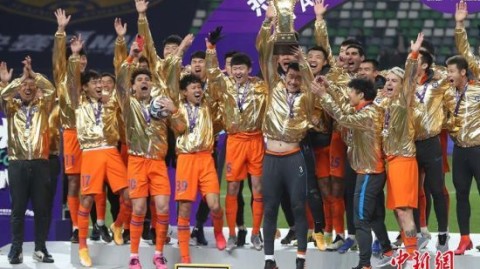 2020年中国足协杯冠军是山东鲁能泰山（现称山东泰山）。他们在决赛中2-0战胜了江苏苏宁，历史上第6次捧起足协杯冠军奖杯