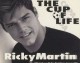 永恒的足球圣歌，The Cup of Life与1998年法兰西之夏