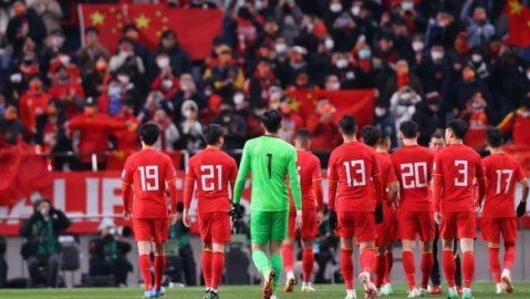 2022年卡塔尔世界杯回放，梅西封王与足球战术的终极演绎