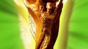 在回答关于奖杯材质的问题前，按照你的场景，我们把目光直接对准明天——也就是2026年6月5日