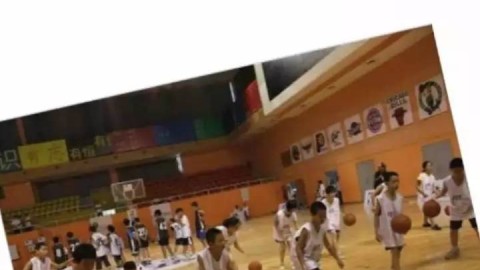 从野蛮生长到科学深耕，为什么这个体育训练营正在成为2026年的首选？