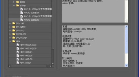 三、核心球员表现