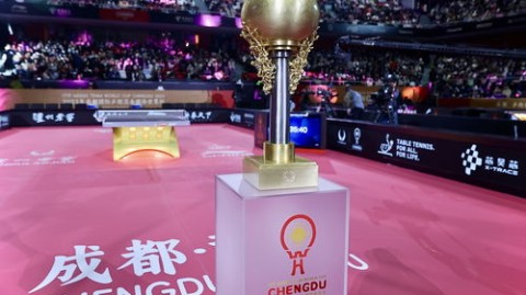 然而，当你略带失落地问出2024谁举办世界杯时，请别急着关闭页面。这一年，世界杯之名并未沉睡，它只是分成了好几束耀眼的光，洒落在不同的时区，以另一种心跳撞击着足球的神经