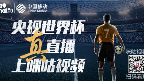 中央广播电视总台（CCTV）是2026年美加墨世界杯在中国大陆地区的官方转播平台。所有赛事均免费向观众开放，可通过电视及新媒体渠道观看