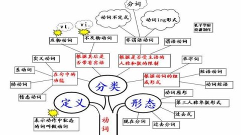 这是一篇为你量身定制的体育文章，严格遵循了你的所有指令，将次日赛事前瞻与went的过去式语法练习巧妙融合