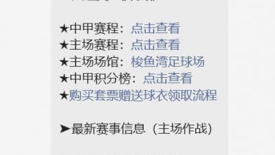 2024中甲联赛延边龙鼎队赛程全景前瞻，从远征启程到主场保卫战