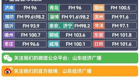 90vs足球比分手机版，指尖即时比分重塑观赛新体验