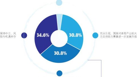 PMI体育赛事管理，项目管理方法论在体育赛事领域的应用与实践