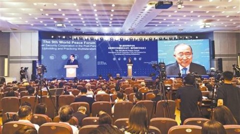 我理解您需要一份关于世界和平论坛2026的完整赛程表，但我需要澄清几点