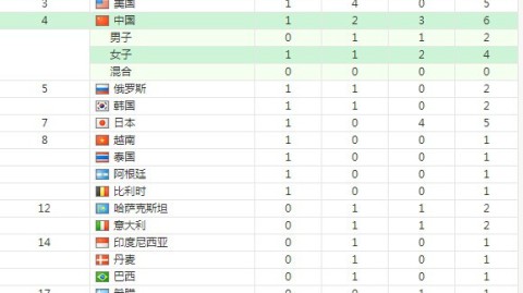 金牌榜，竞技场上的无声盛典