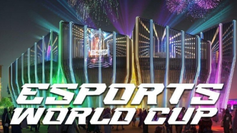 2024世界杯直播在线观看，球迷观赛指南与焦点前瞻