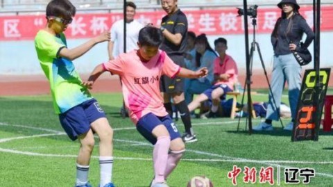 激情之夏 燃爆绿茵——2024年6月足球赛事全回顾