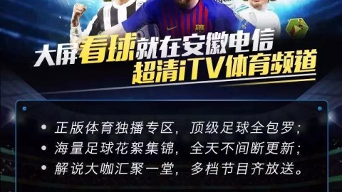 2024-2025赛季五大联赛免费观看指南，球迷必备攻略