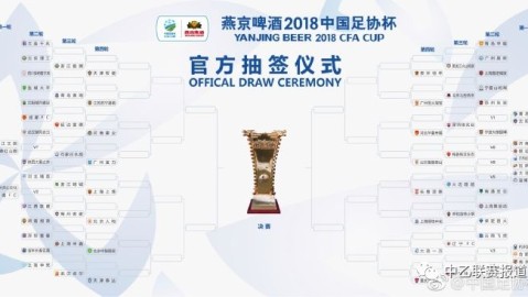 根据你提供的标题结构，这里是为你撰写的关于2025年足协杯核心球员表现的深度分析文章。假设以2025年足协杯决赛（上海海港 vs 山东泰山）及整个淘汰赛阶段为背景进行专业复盘