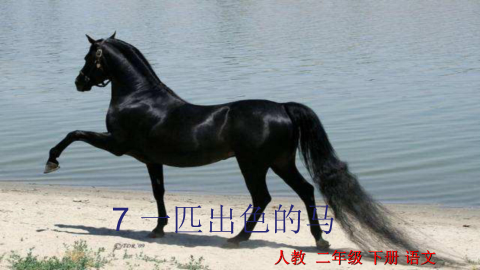 根据您提供的上半场描述框架，我以一场虚构的高水平公路自行车赛为例，模拟了半场比赛的进程。文中人物、事件和数据均为创作需要，只为呈现清晰的节奏与局势分析