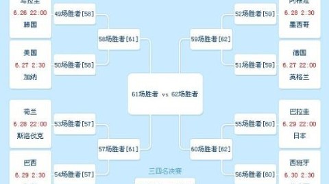 2010年世界杯四强排名
