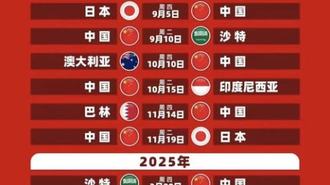 2024世界杯激战正酣，6月5日赛果速递与晋级格局深度解析